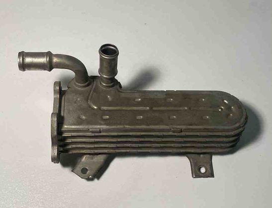 VOLKSWAGEN Passat B6 (2005-2010) EGR Cooler 038131513AD 30675654