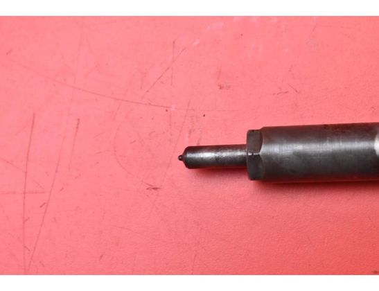 RENAULT Megane 2 generation (2002-2012) Degvielas sprausla 166000897R 31537424