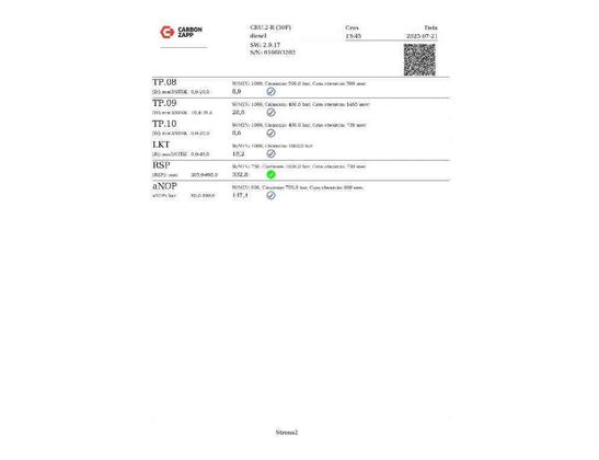RENAULT Megane 2 generation (2002-2012) Degvielas sprausla 166000897R 31537425