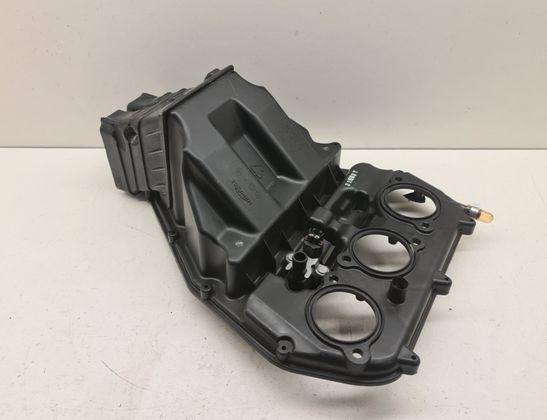 TRIUMPH TIGER Gaisa filtru kaste T2205667,2205667 32953239