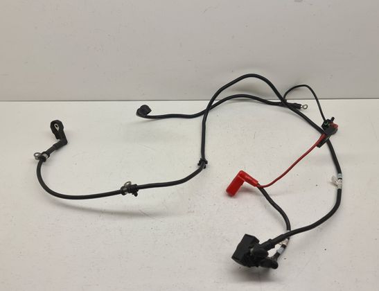 TRIUMPH TIGER Electronic parts T2706031,T2503598,2706031,2503598 32953679