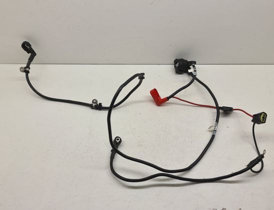 TRIUMPH TIGER Electronic parts T2706031,T2503598,2706031,2503598 32953679