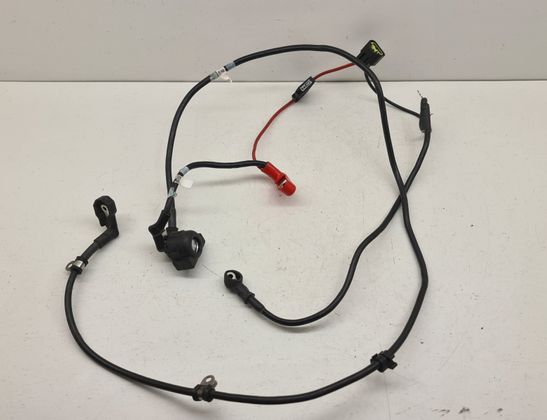 TRIUMPH TIGER Electronic parts T2706031,T2503598,2706031,2503598 32953679