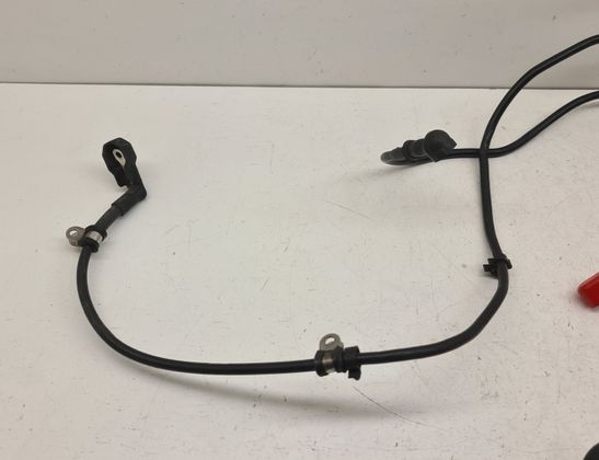 TRIUMPH TIGER Electronic parts T2706031,T2503598,2706031,2503598 32953679