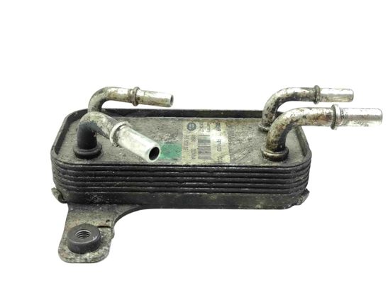 LAND ROVER Range Rover Sport 1 generation (2005-2013) Degvielas dzesētājs (radiators) F8741003 29894833