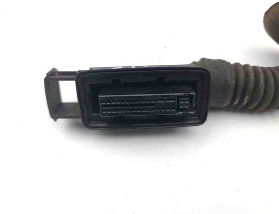 BMW i3 I01 (2013-2024) Aizmugurējo kreiso durvju elektroinstalācija 9349195 31021188