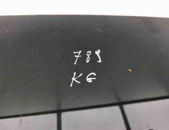 OPEL Antara 1 generation (2006-2015) Aizmugurējo kreiso durvju stikls 32631438