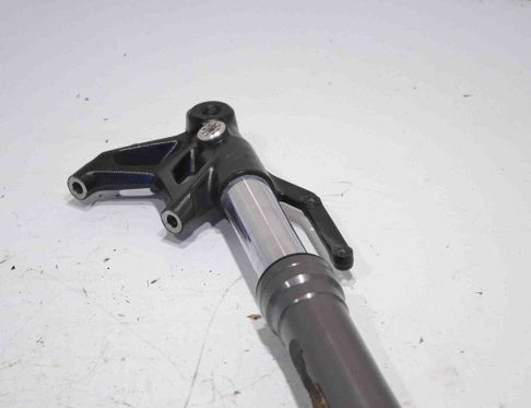 TRIUMPH Street 1 generation (2012-2024) 28445698