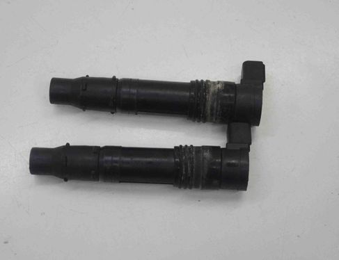 KAWASAKI NINJA 3 generation (2004-2015) Комплект катушки зажигания с высоким напряжением F6T560 22979370