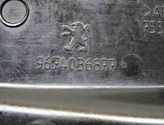 PEUGEOT 307 1 generation (2001-2008) Priekšējo labo durvju spoguļa rāmis 9674036877 32484582