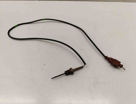 VOLKSWAGEN Passat B6 (2005-2010) Датчик температуры выхлопных газов 04L906088DB 27903182