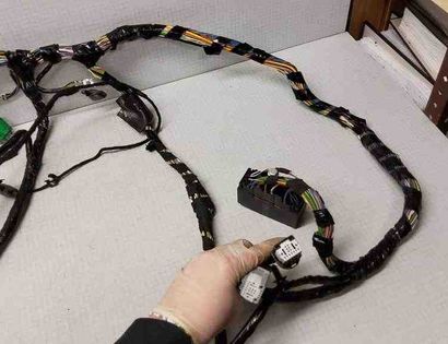 FORD EcoSport 2 generation (2013-2024) Cable Harness 1419834900,016702541,14A005BHH,CN1514A390,334724851,2282442,LN1514A005,334810401,334826408,7R339C335,02287338,95GG14603 32562425