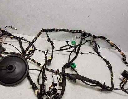 FORD EcoSport 2 generation (2013-2024) Cable Harness 1419834900,016702541,14A005BHH,CN1514A390,334724851,2282442,LN1514A005,334810401,334826408,7R339C335,02287338,95GG14603 32562425