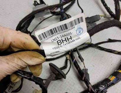 FORD EcoSport 2 generation (2013-2024) Cable Harness 1419834900,016702541,14A005BHH,CN1514A390,334724851,2282442,LN1514A005,334810401,334826408,7R339C335,02287338,95GG14603 32562425