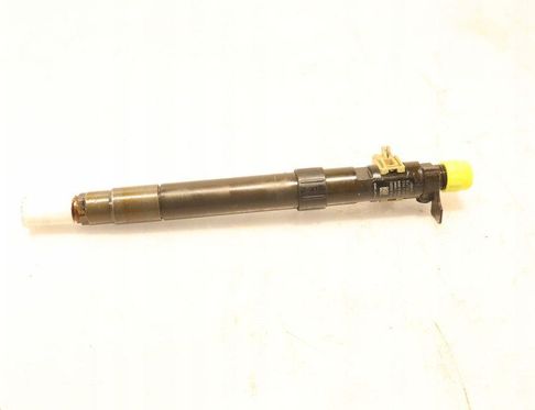 PEUGEOT RCZ 1 generation (2010-2014) Fuel Injector EMBR0101D 32938954