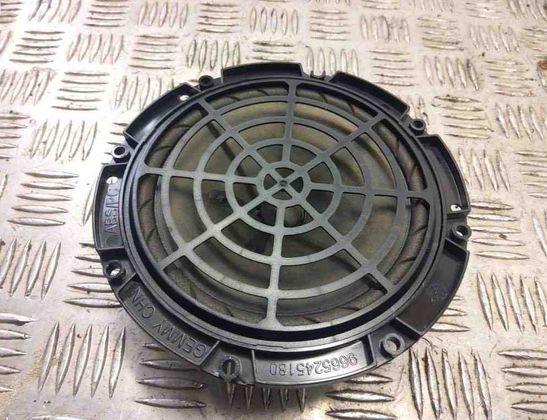 PEUGEOT RCZ 1 generation (2010-2014) Priekšējo kreiso durvju skaļrunis 9665245180 31009049