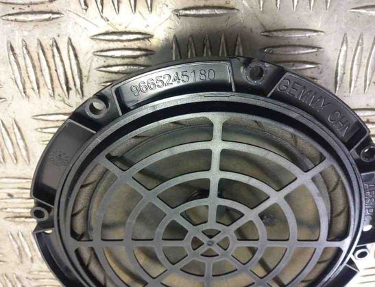 PEUGEOT RCZ 1 generation (2010-2014) Priekšējo kreiso durvju skaļrunis 9665245180 31009049